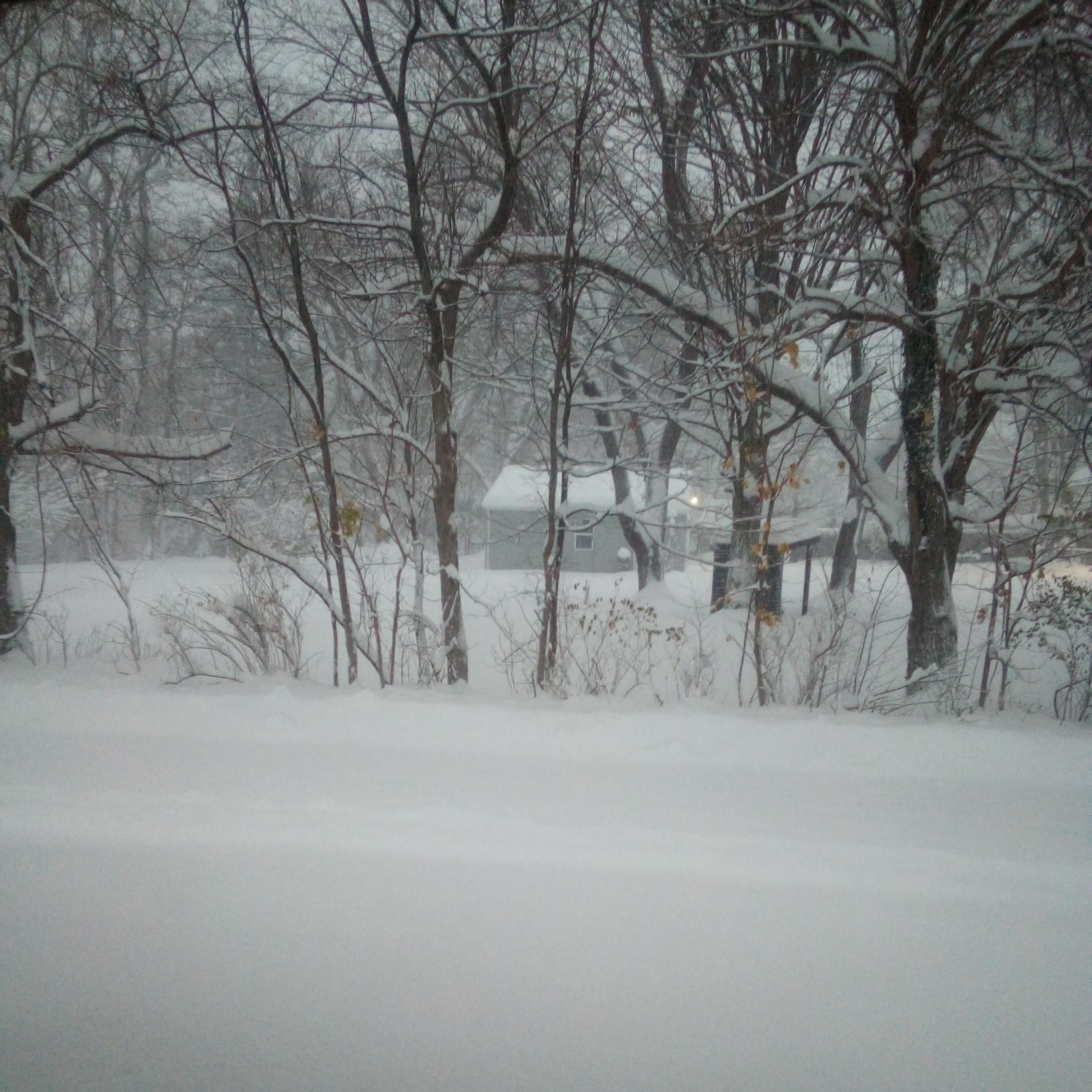 In the Wintertime - Single