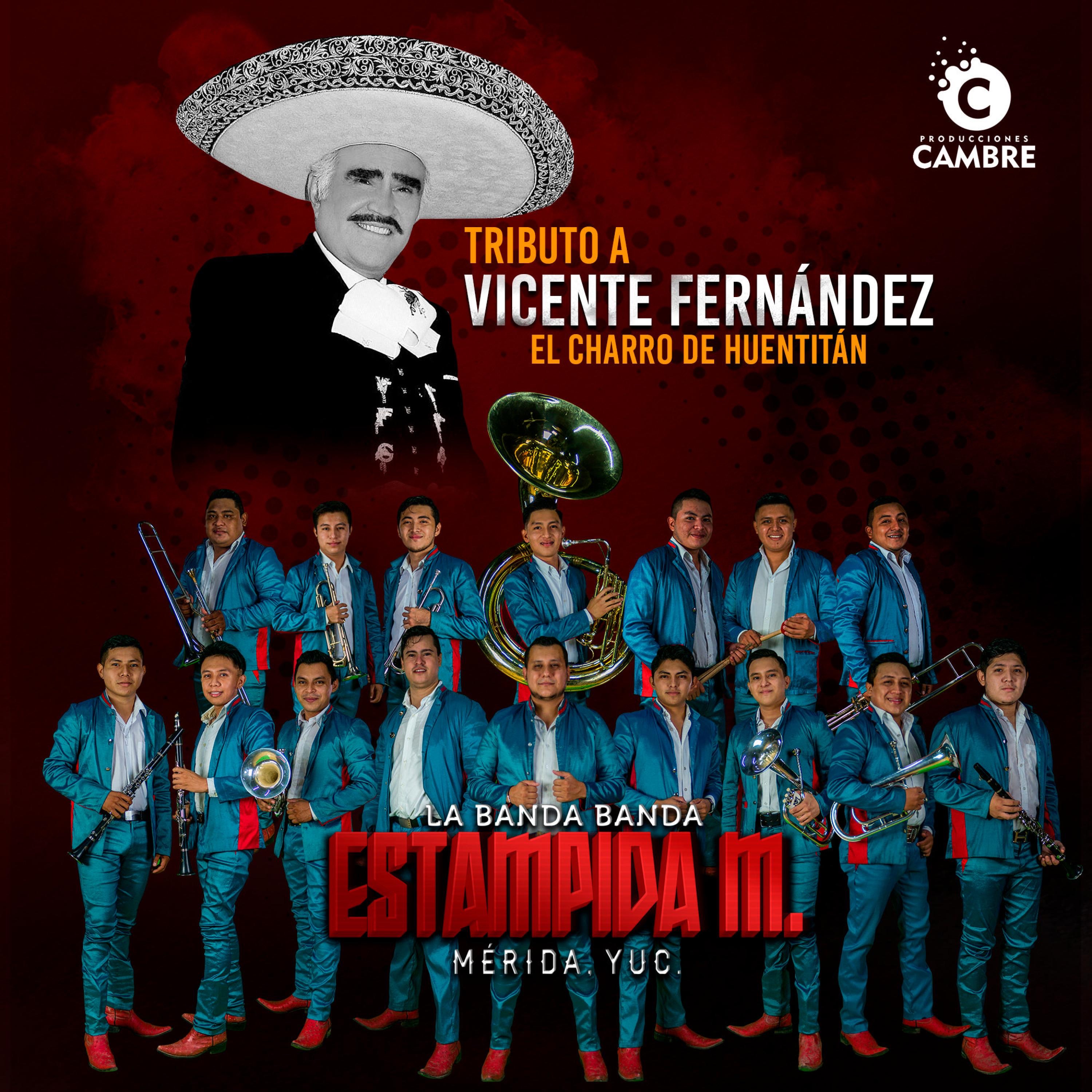Tributo a Vicente Fernández-La Banda Banda Estampida Musical - Single
