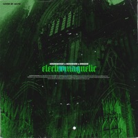 Electromagnetic (feat. Novision) - Single - KR0N3KXGE