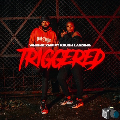 TRIGGERED (feat. Krush) - Single