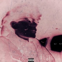 Daisy Lane (feat. okjett) - Single - 19somber