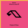 Estiva - What Is Love (Extended Mix) artwork