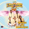 Sentimiento Oaxaca - Chilena Snuviko