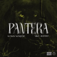 Pantera (feat. Niko Agüero) - Single - KLAYCK NCSQUAD