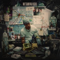 Metamorfosis - El Galy