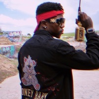 Rich Steppa - Single - Lotty Scotty