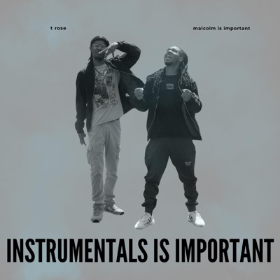Instrumentals Is Important (Instrumental)