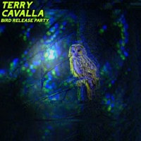 Bird Release Party (DJ Mix) - Terry Cavalla