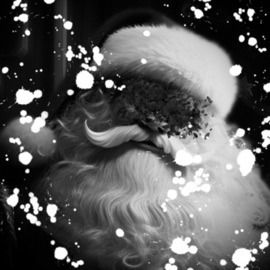 North Pole Noir Bashful Tha Dwarf