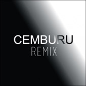 Cemburu DJ Remix artwork