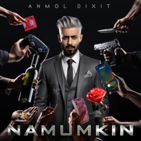 NAMUMKIN (feat. Harshh) - Single - Anmol Dixit