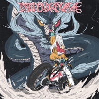 Fuji - Free Flow Flava