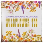 Darin & Brooke Aldridge - Wildflower Too