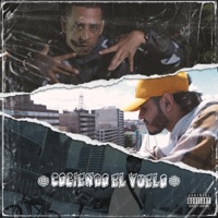 Cogiendo El Vuelo (feat. Mosco Caña Brava) - Single - Harold Real