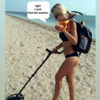 Motion Detector - Single - Fadess