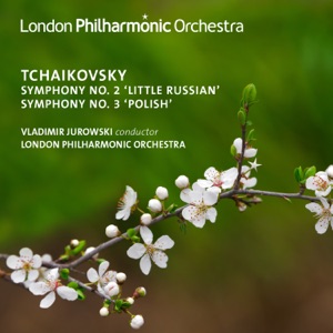 Symphony No. 2 in C Minor, Op.17 