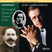 Godowsky: The Complete Studies on Chopin's Etudes artwork