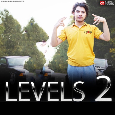 Levels 2 - Single