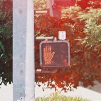 I hate whole avocado and somehow it's on my sandwich. - Single - AJAXX'92