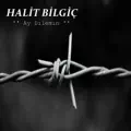 Ay Dılemın