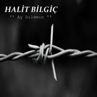 Ay Dılemın