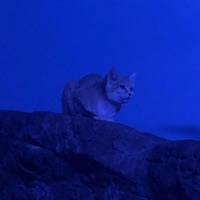 Monologue - Single - shizukesa.