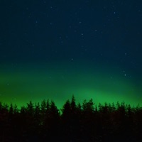 Northern Lights - Single - Stuffed Tomato