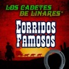 Los Cadetes de Linares - El Caballo Jovero