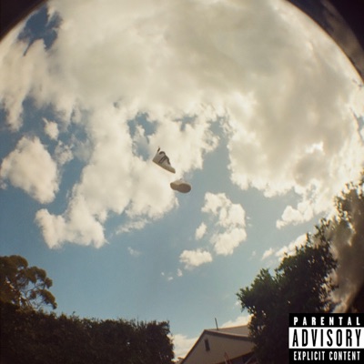 Air Forces (feat. The Rarest Joy, Young Leo, Wali Diid & Taaz) - Single