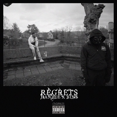 Regrets (feat. Bins) - Single