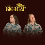 Big Leaf, Muunjuun & J Greegs - 100 Days