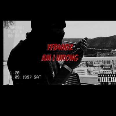Am I Wrong - Single