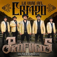 La Vida Del Campo - Profugos De Nuevo Leon