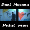Puiul meu - Dani Mocanu