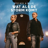 Wat Als De Storm Komt artwork