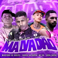 Pirocada do Malvadão (feat. MC V4) - Single - Barca Na Batida, Luanzinho do Recife & Boca Ratão