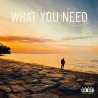 What You Need (feat. Sonytoprano) - Single - Stevie Xolo