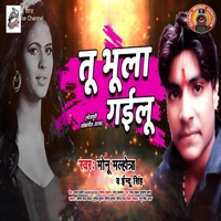 Tu Bhula Gayilu - Single - Monu Malhotra & Indu Singh