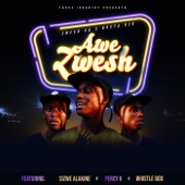 Awe Zwesh (feat. Sizwe Alakine, Percy V & Whistle God) artwork