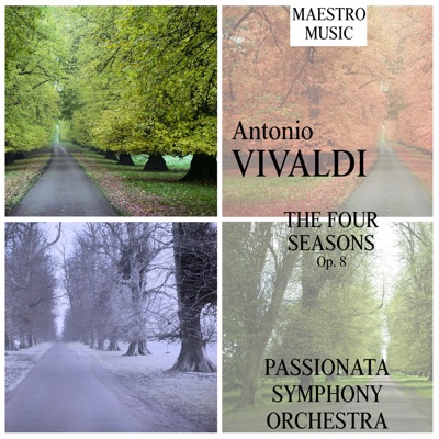 The Four Seasons - Violin Concerto in G Minor, Op. 8, No. 2, RV 315  "L'estate": III. Presto - Passionata Symphony Orchestra | Shazam