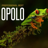 Opolo - Single - Professional Beat