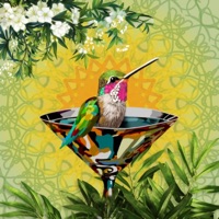Hummingbird Happy Hour - Fat Royale & Golden Ear Strikes Again