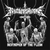 Destroyer of the Flesh - Single