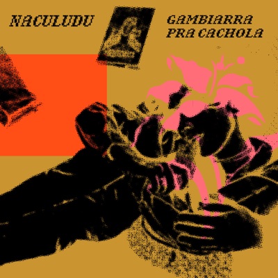 Gambiarra pra Cachola (feat. Wesley Castellano)