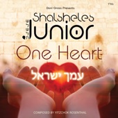 Amcha Yisroel One Heart artwork