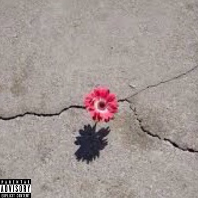 Concrete Flower