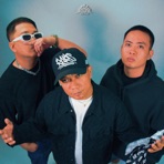 Roll up (feat. Arvlle & Dale Gobas) - Single