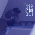 אביחי פרץ