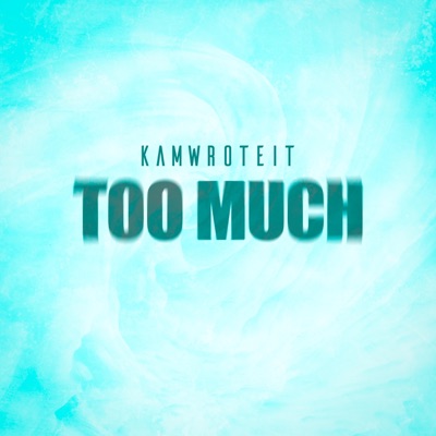Too Much - Single