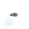 kazui (house mix) [feat. Yung Corpsey] - sar.casm lyrics
